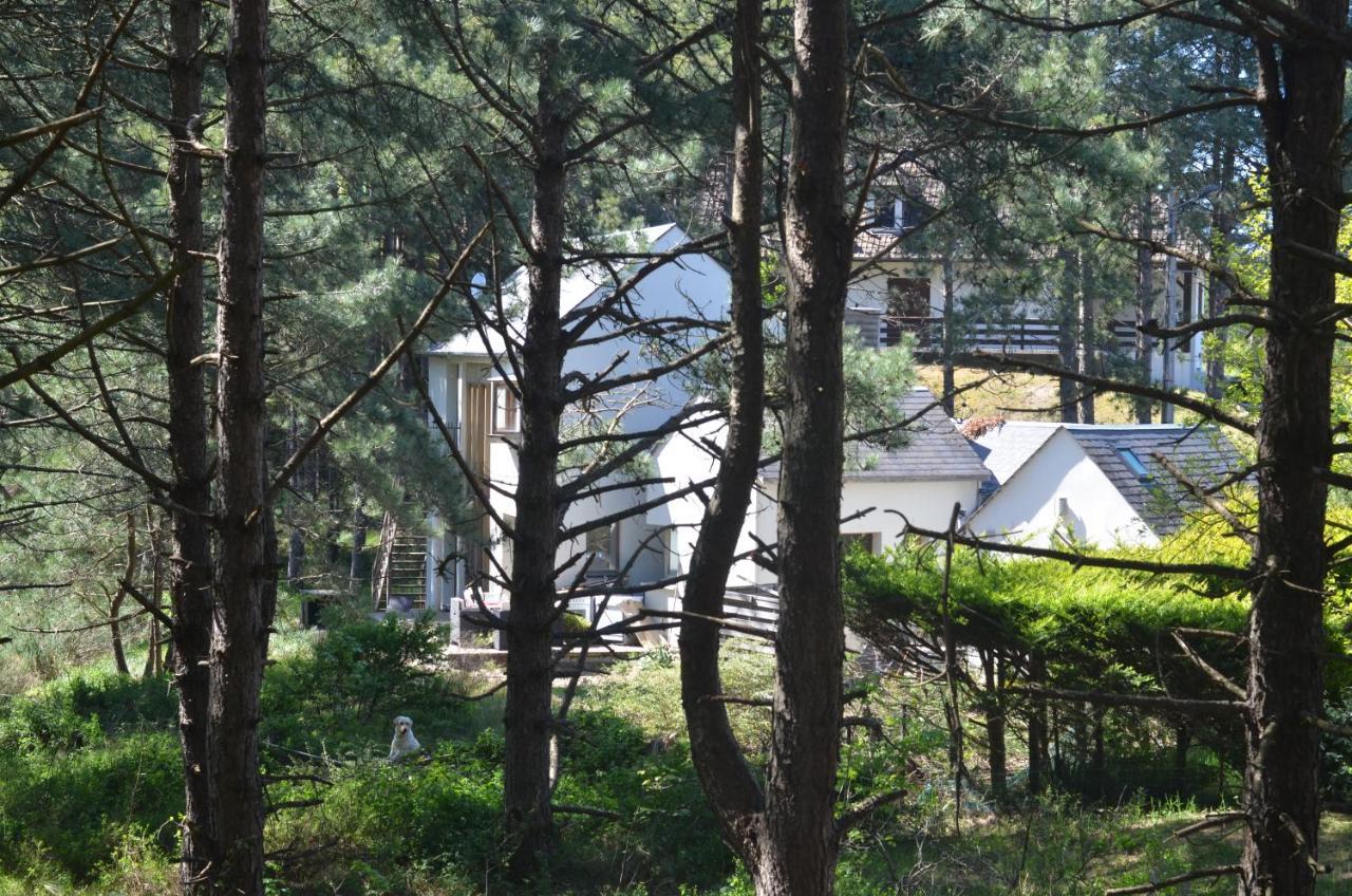 La villa dans les pins Quend Extérieur photo