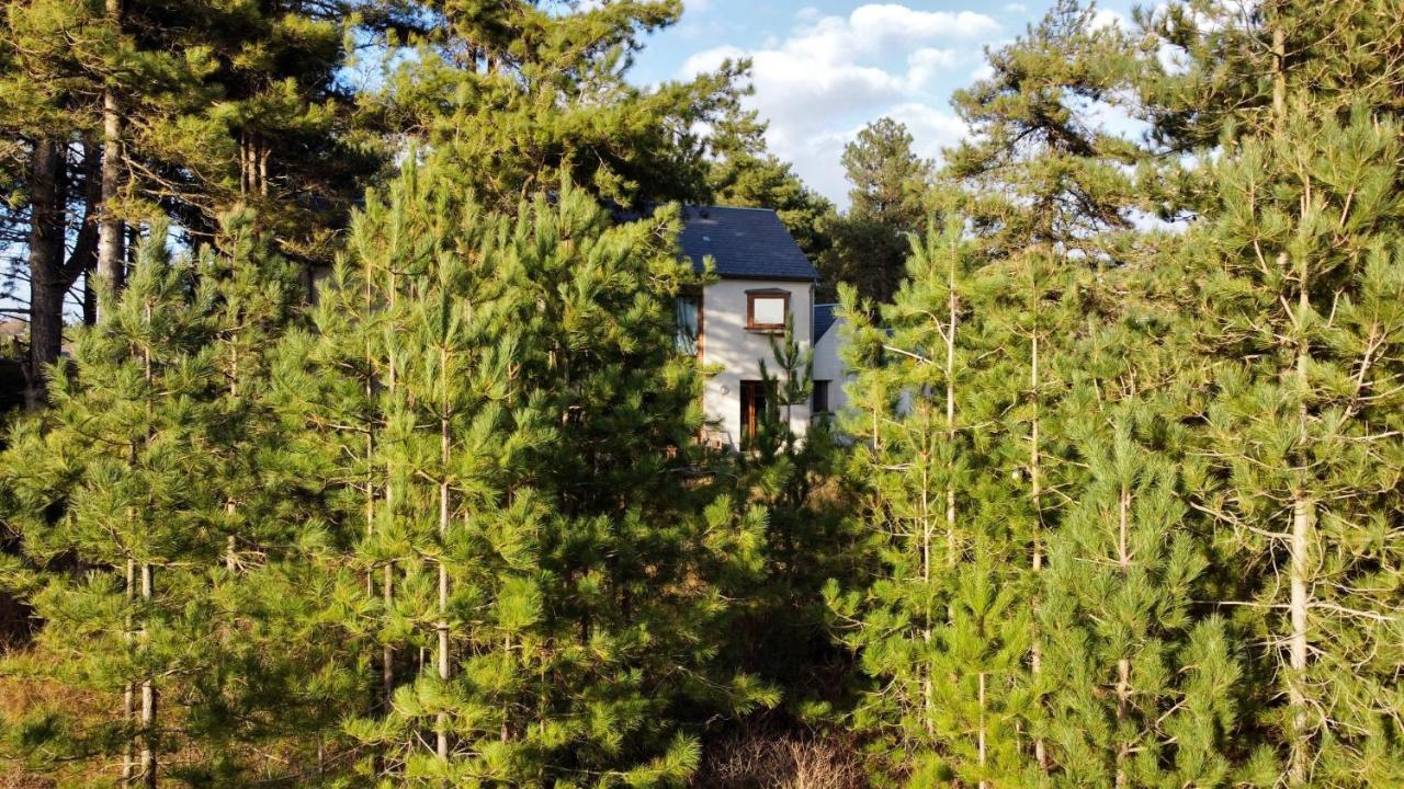 La villa dans les pins Quend Extérieur photo